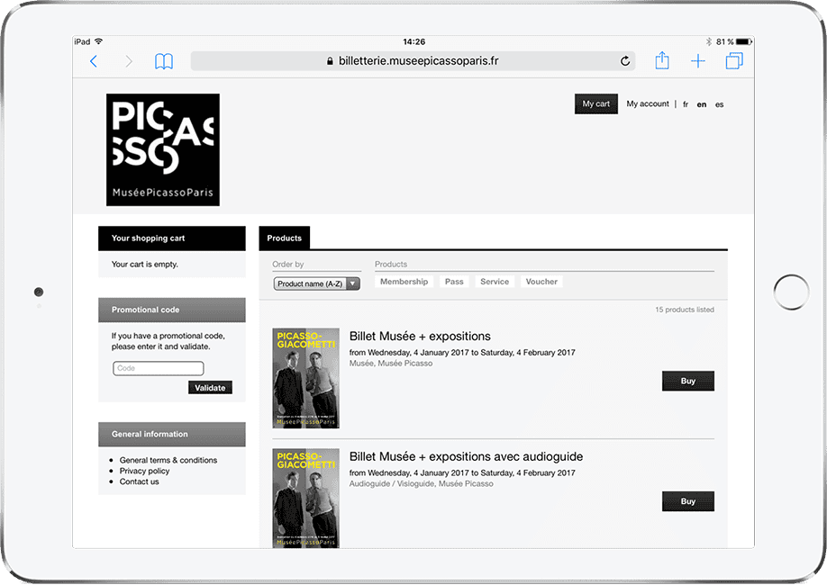 increase-online-sales-picasso